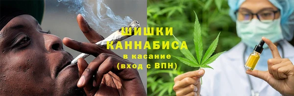 первитин Новодвинск