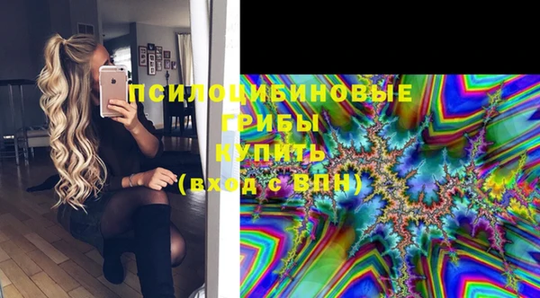 первитин Новодвинск