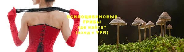 первитин Новодвинск