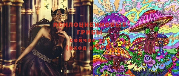 первитин Новодвинск