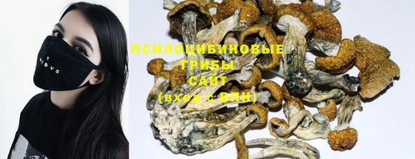 первитин Новодвинск
