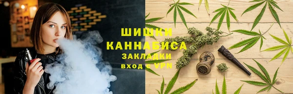 первитин Новодвинск